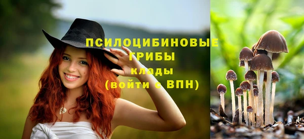 spice Алексин