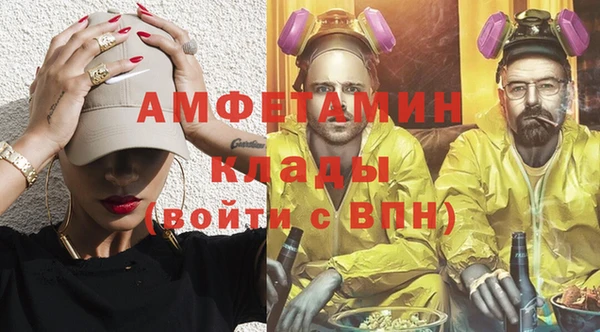 индика Алзамай