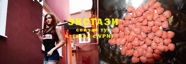 индика Протвино