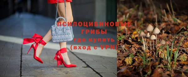 индика Алзамай